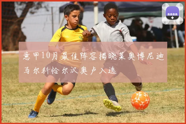 意甲10月最佳阵容揭晓莱奥博尼迪马尔科恰尔汉奥卢入选