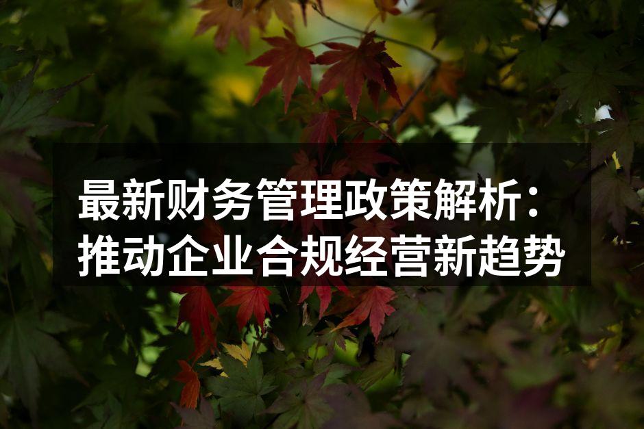 最新财务管理政策解析：推动企业合规经营新
