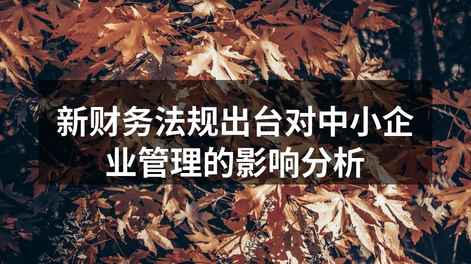 新财务法规出台对中小企业管理的影响分析